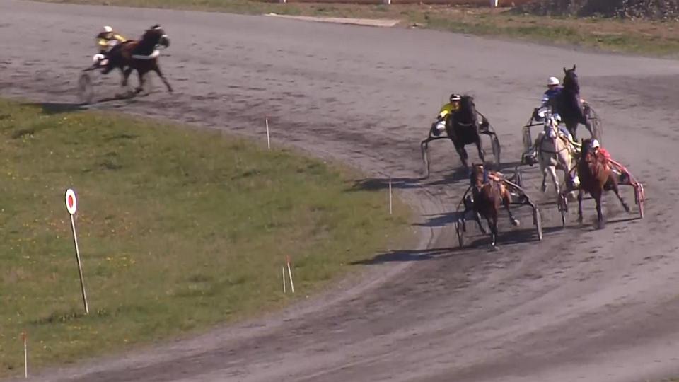 Re-live: Velká dubnová cena klusáků pro Poršovou s Un Nuage d´Osmoz