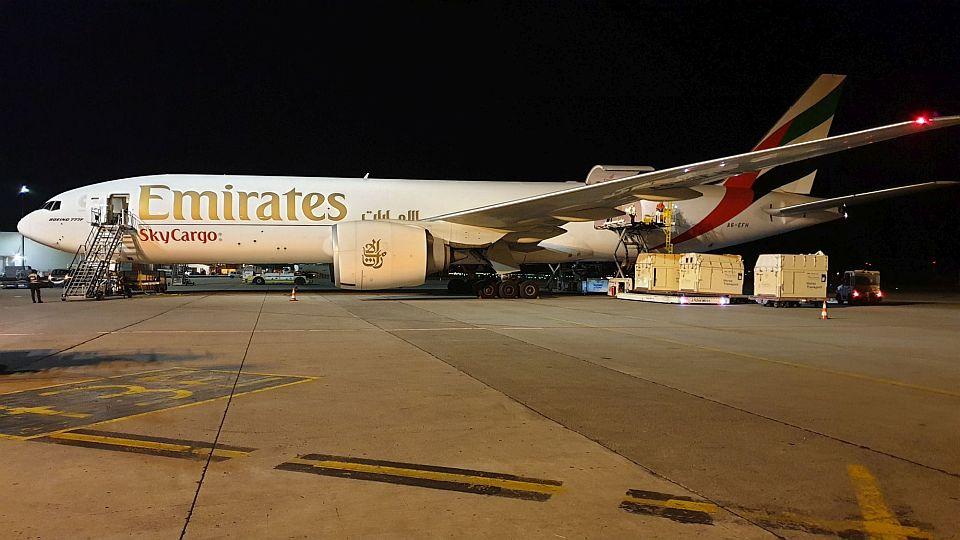 Emirates přepravili loni více než dva tisíce koní na šest kontinentů