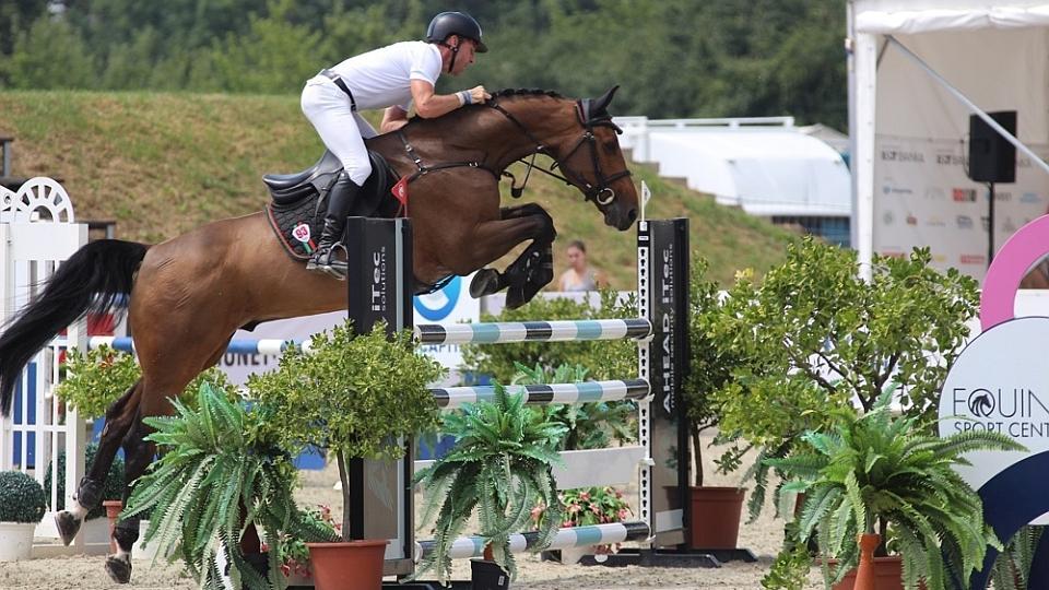 Kamil Papoušek s mladými koňmi ve Wiener Neustadtu šestkrát vítězný!