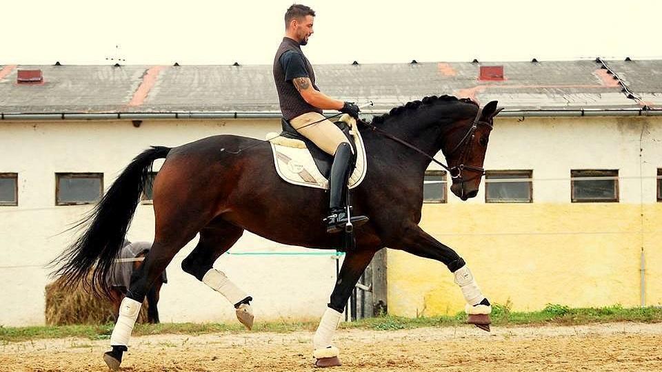Jan Zamec: Charmé mě naučila jednat s dámou, Sandro netlačit na pilu
