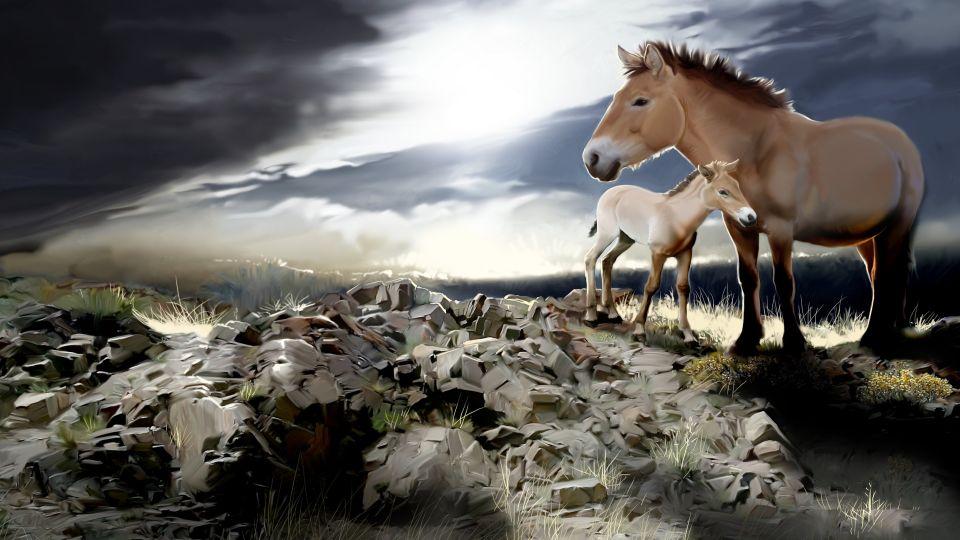 „Návrat divokých koní“ z Prahy do Mongolska zachytil malíř Jan Sovák