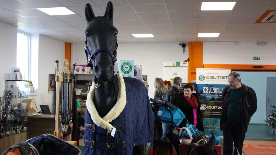 Předvánoční nákupní horečka se jezdcům nevyhla. U Kamírů se vyhrávalo