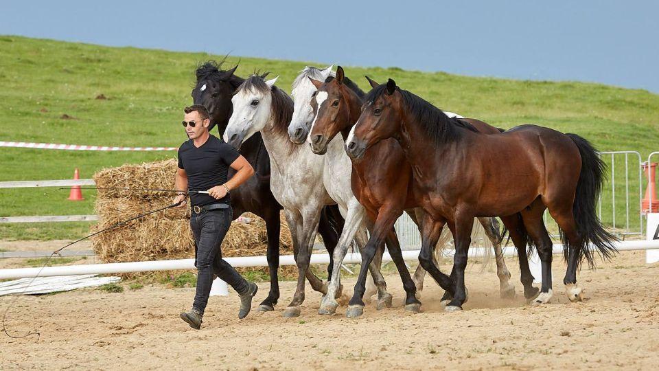 Miron Bococi bude hvězdou For Horse. Jeho vztah s koňmi je mimořádný