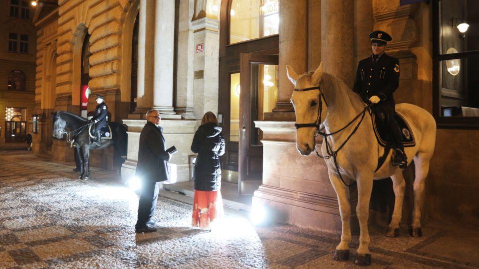 Koně i jezdci v záři reflektorů. Výroční ceny ČJF 2019 ve fotogalerii
