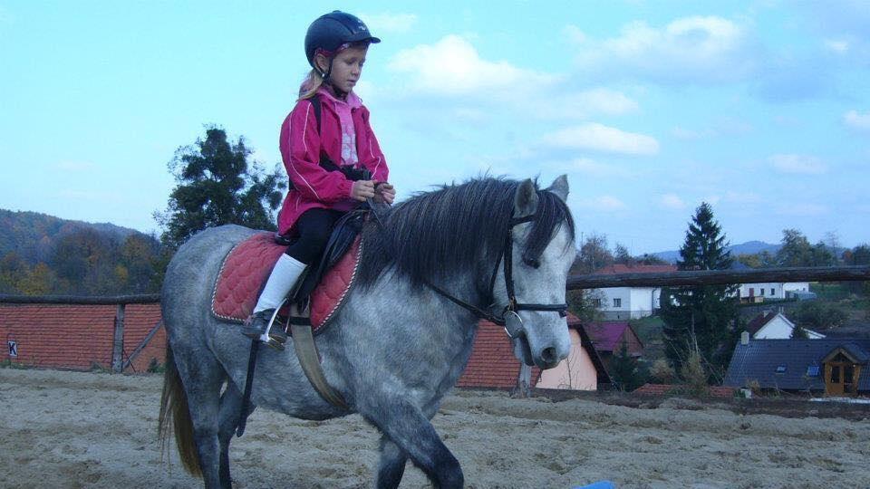 ikonka