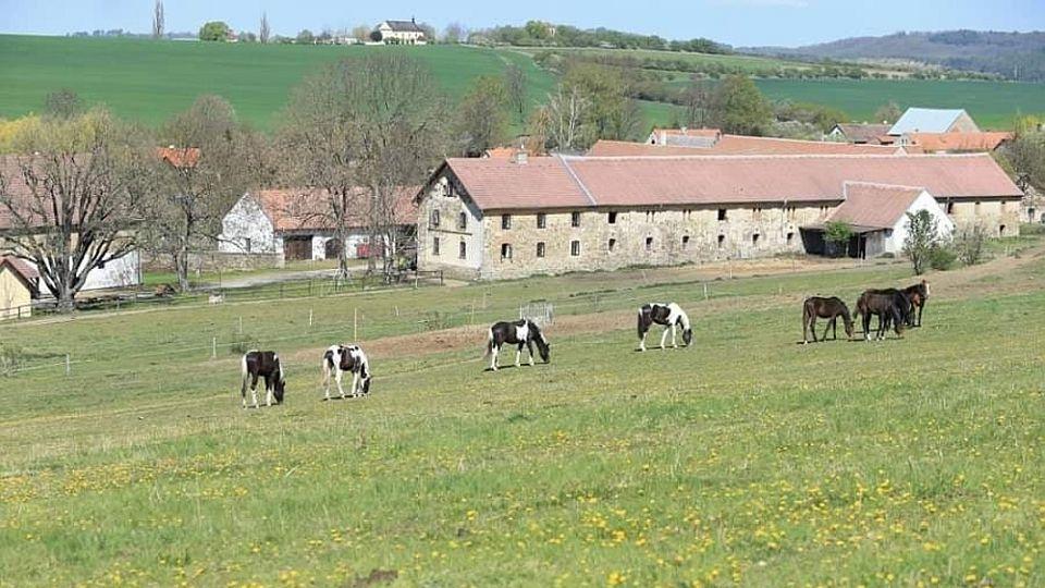 Stáj Sportpinto Želkovice: Dost místa pro chov koní i jezdecký sport