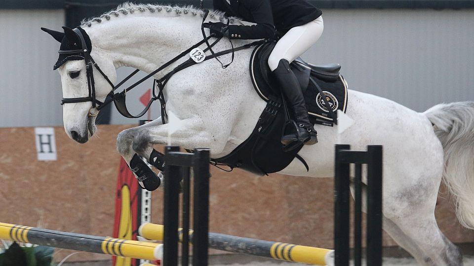 Individuální jezdecké tréninky stále jen venku. Haly mají být uzavřené