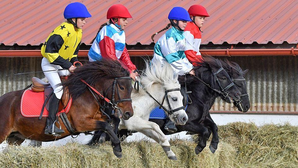 Pony race při CSIO: Dostihy, které v Chuchli ještě k vidění nebyly