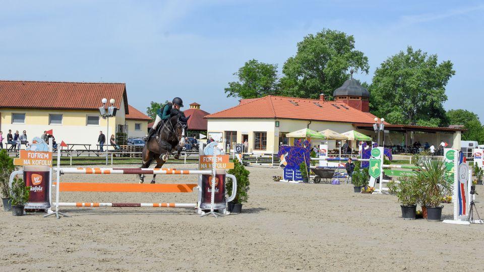 ikonka