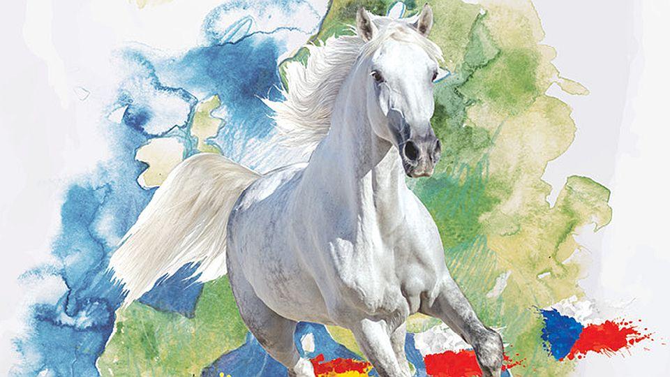 Výstava Koně v akci se letos zaměří na koňské tradice v Evropě