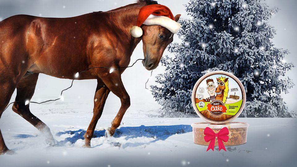 Soutěž: Koňská lahůdka bez pečení. Hrajte o dárkové balení Animal Cake
