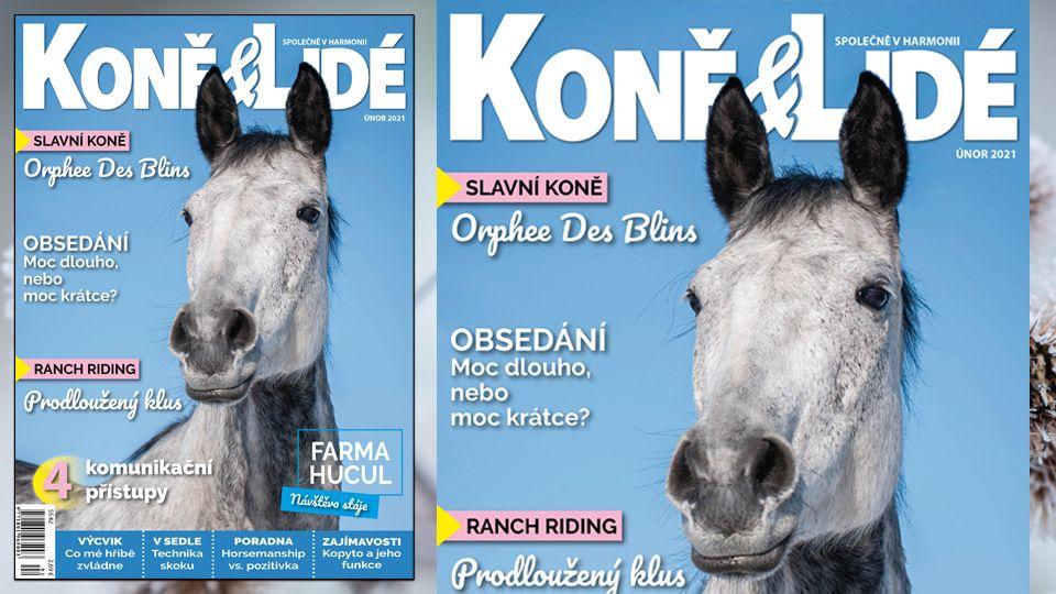 ikonka