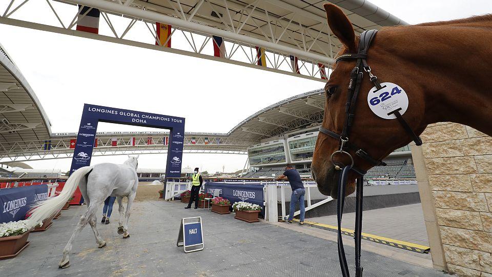 Dva koně pozitivní na EHV-1 v Dauhá. Herpesvirus je už i ve Švédsku