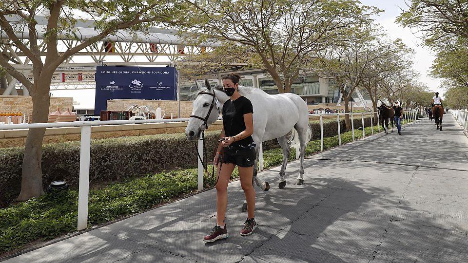Zbytečná panika kolem EHV-1 v Dauhá. Koně jsou v izolaci, píše Equnews