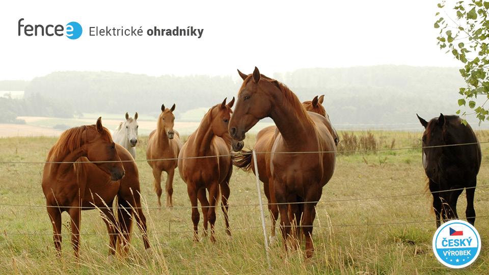 Jak sestavit vhodný a funkční elektrický ohradník pro koně