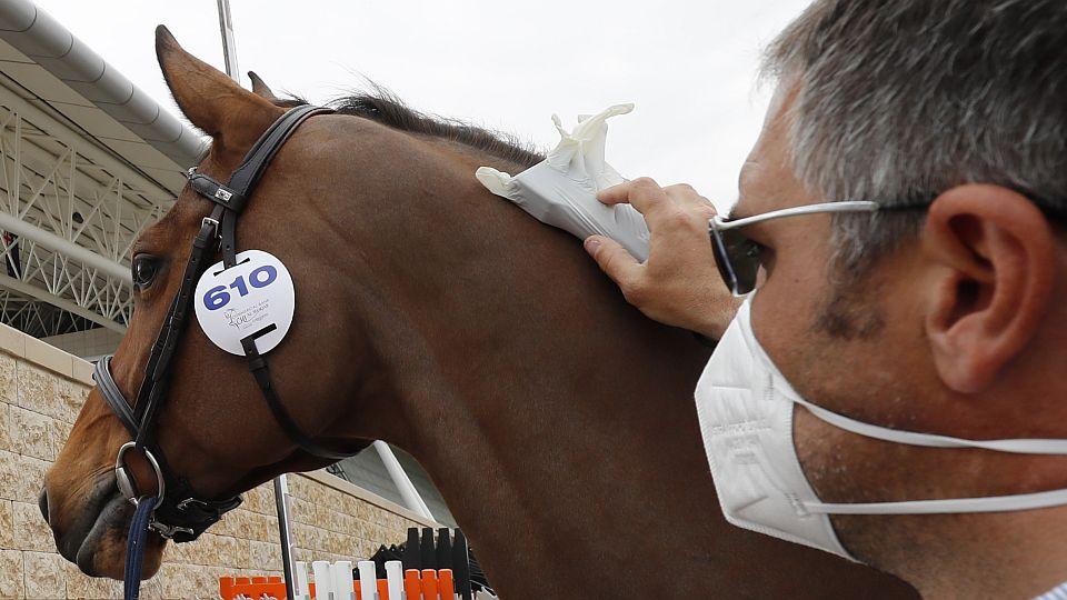 Návrat ke sportu dle FEI: Očkování není povinné, PCR testy od 400 koní