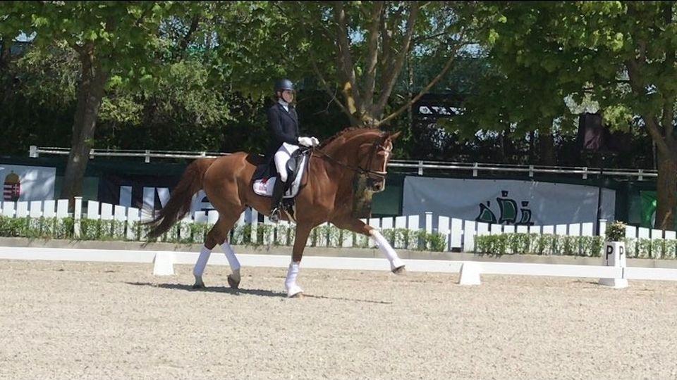 Drezurní mládež pokračuje v Máriakálnoku. Vášáryová pátá mezi juniory