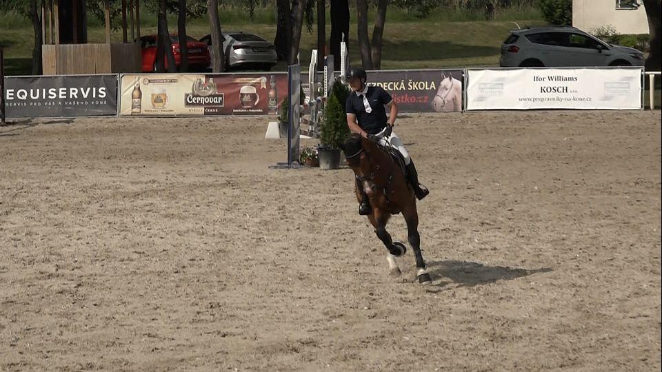 Kritéria mladých koní v Hradištku: Nejvyšší známku získal Lamaze TN