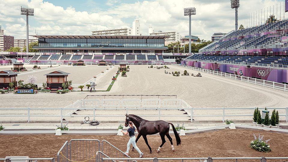 Olympijská drezura startuje v sobotu. Koně prošli veterinární inspekcí