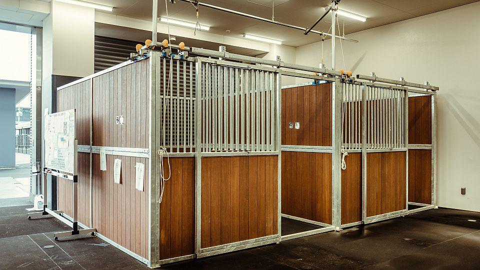 Pro koňské atlety v Tokiu je k dispozici špičková veterinární klinika