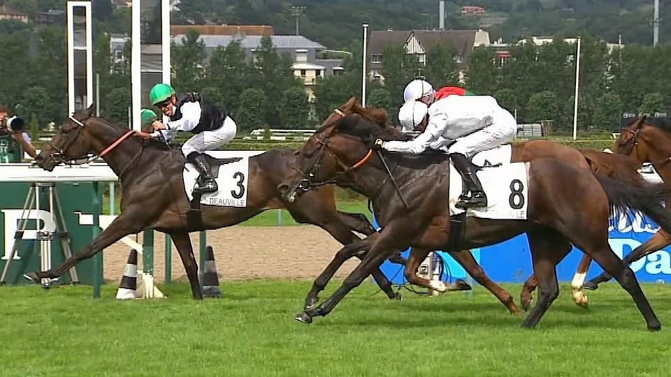 Nagano Gold druhý v Prix du Carrousel. Neuvěřitelný kůň, žasl Luka