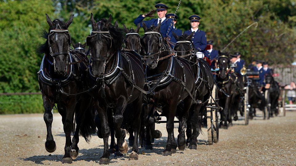 Dva tisíce diváků dorazily za koňmi na Velký jezdecký den do Slatiňan