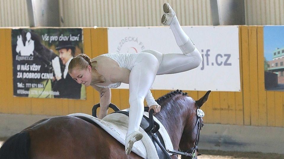 ikonka