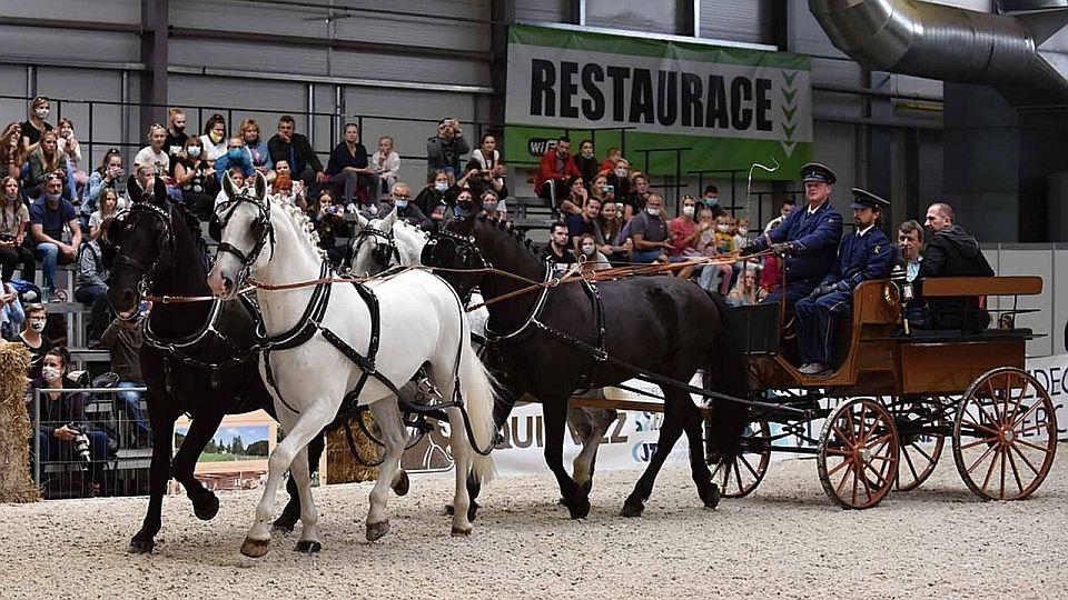 Živě: Prožije celý den s Koněm 2021 na výstavišti v Lysé nad Labem