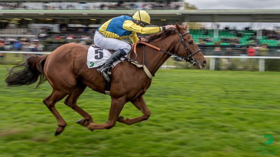 Pardubice viděly "magnificent 5": Jan Faltejsek předvedl velkou sérii