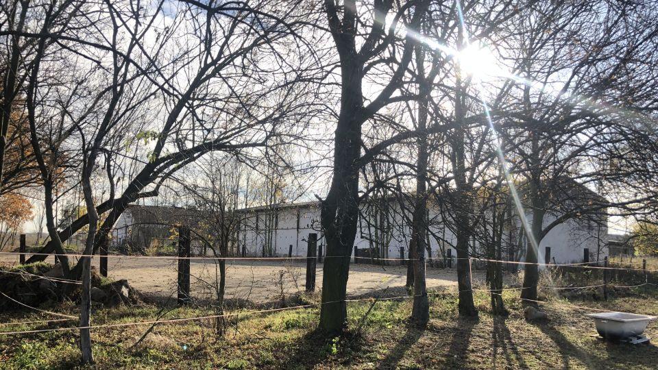 ikonka