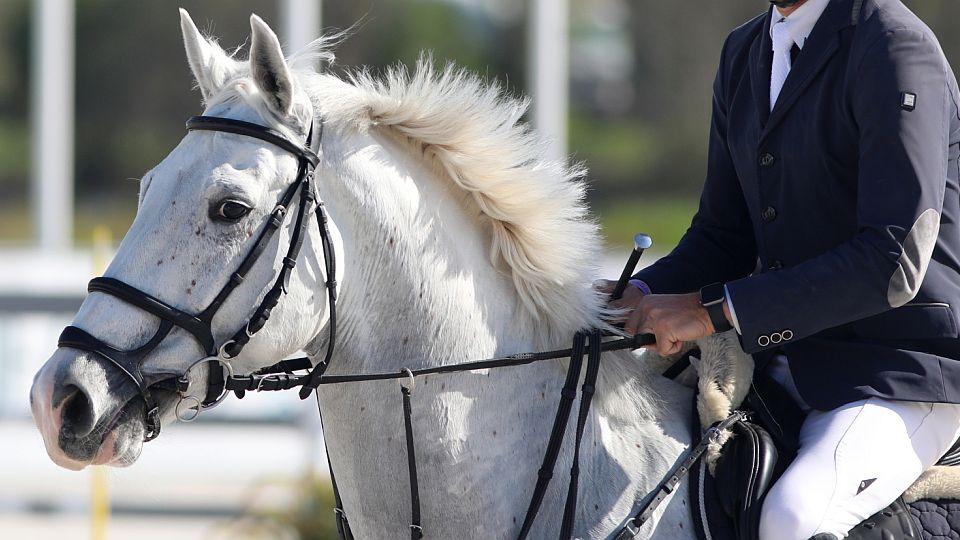 Pětibojaři jsou proti způsobu rozhodnutí UIPM o vyřazení jízdy na koni