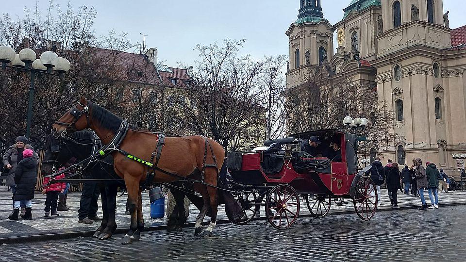 Fiakristé napsali primátorovi Prahy. Žádají dodržení dvouleté výpovědi