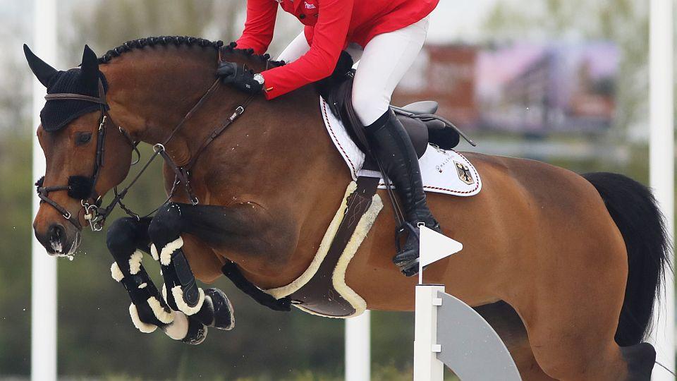 Deutscher Reiterverband: Showdown-Pferde beim Springen sollen verboten werden