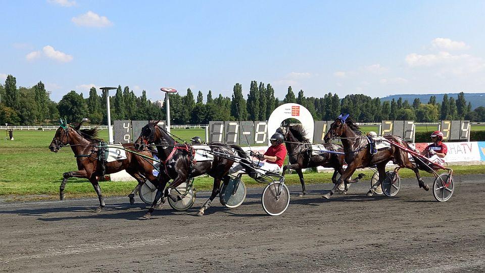 Živě: Začíná Zlatý okruh. Pusťte si podvečerní klusáky v Chuchle Areně