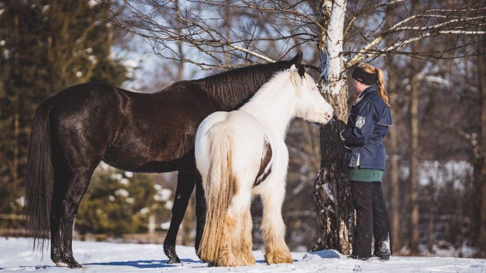 Theimerová: Za čistým ovzduším k nám jezdí i koně s dýchacími problémy