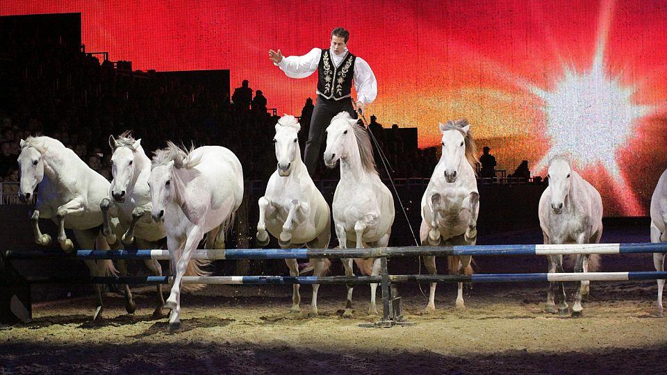 Létající Francouz Lorenzo a jeho koně se představí v pražské O2 areně