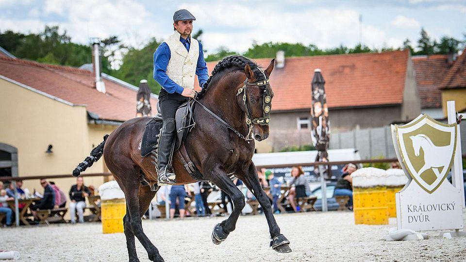 Živě: Sledujte mistrovství ČR 2022 Working Equitation v Královicích