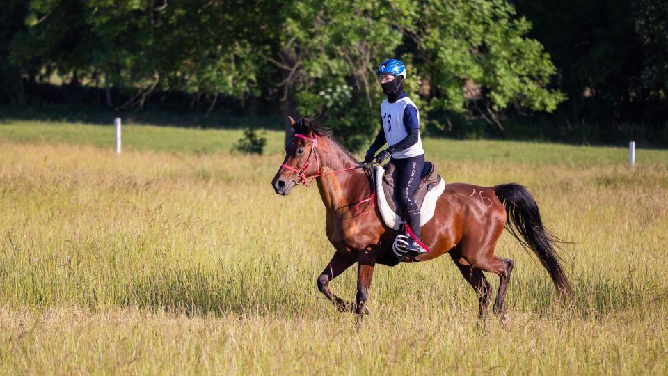 ikonka