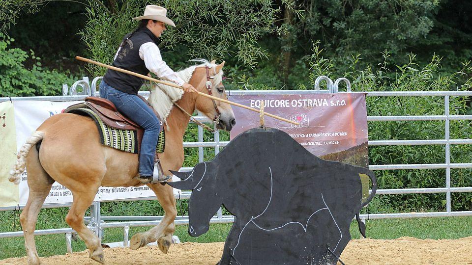 Márová: Důvěra koně je důležitá v extreme trailu i working equitation