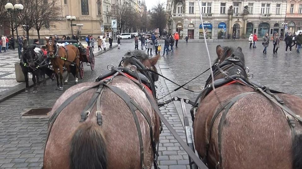 Zůstanou koňské povozy na Staroměstském náměstí? Sněmovní výbor je pro