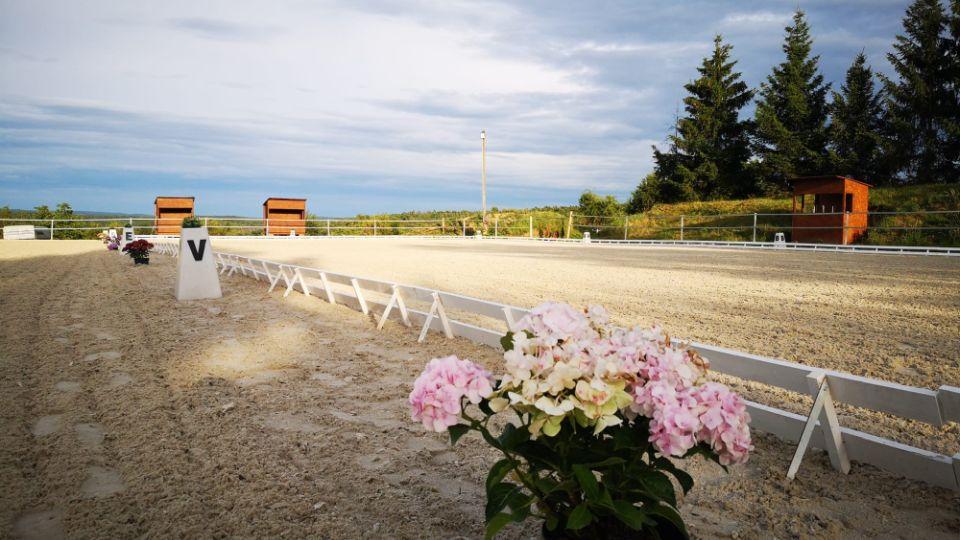 V obci Líšnice snad žije více koní než lidí, směje se Denisa Ptaszková