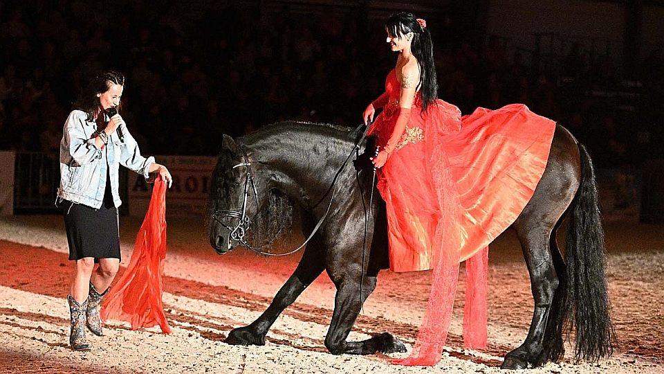 Živě: Večerní koňská galashow při výstavě Kůň 2023 v Lysé nad Labem