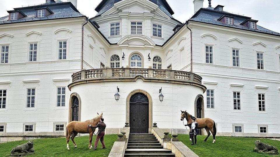 Na zámku Karlova Koruna jsou opět koně Kinští. Sezona začíná na Velký pátek