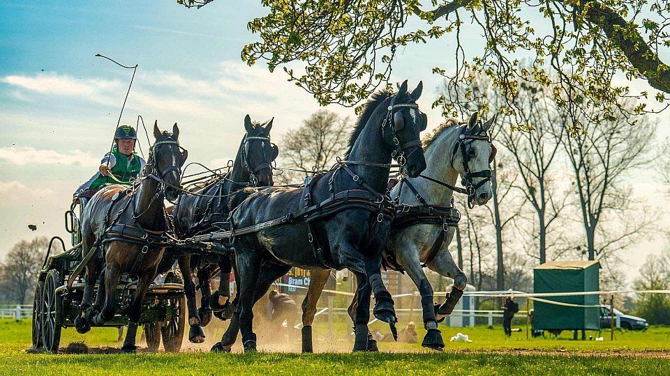 Do Kladrub přijíždí esa vozatajského sportu s více jak třemi stovkami koní