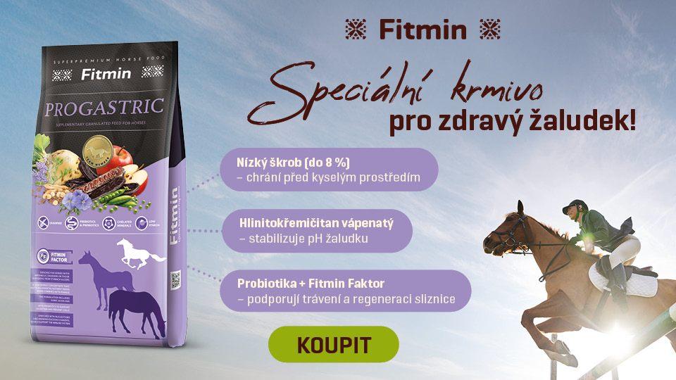 Žaludeční vředy u koní: Diagnostika a léčba vyžaduje znalosti i odhodlání