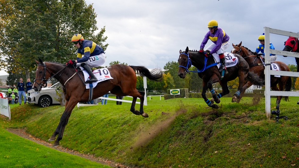 Final Orders jako Stumptown: Irové obhájili triumf ve Velké pardubické