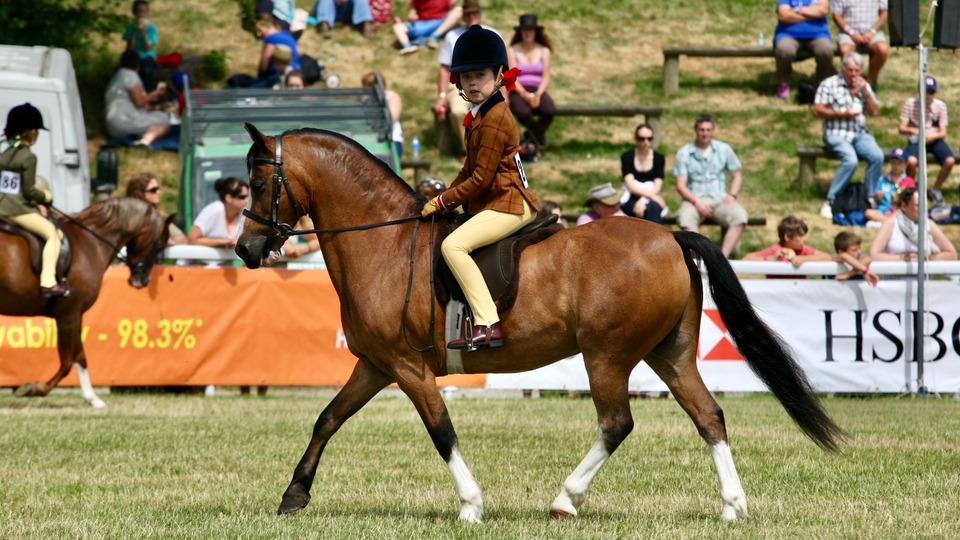 Mezi sny a tlakem tribun. Britové zásadně mění pravidla dětského parkuru