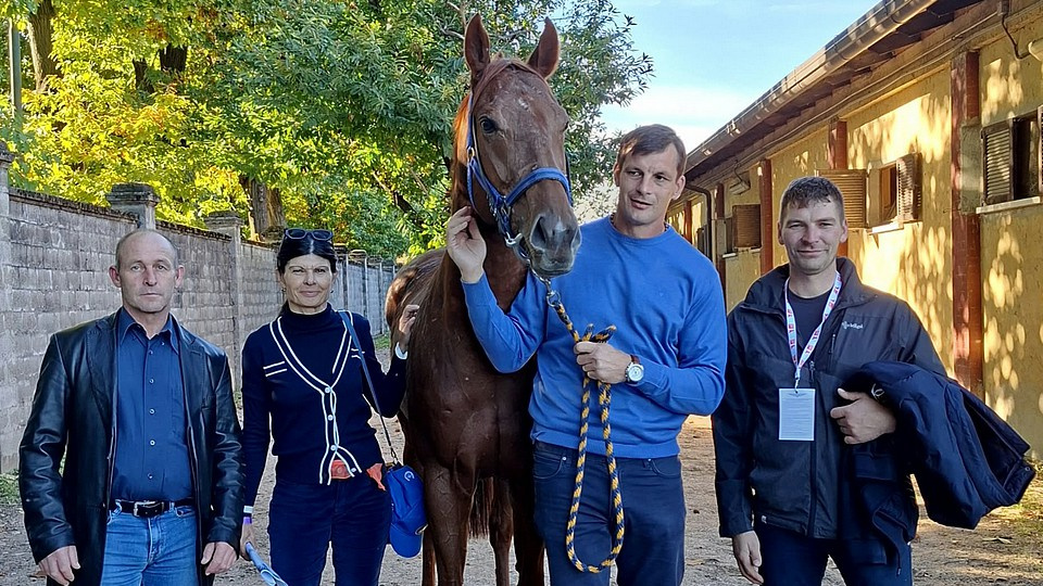 Anatole v hustém dešti třetí v listed, umístění pro Daisy Doru a Střelce