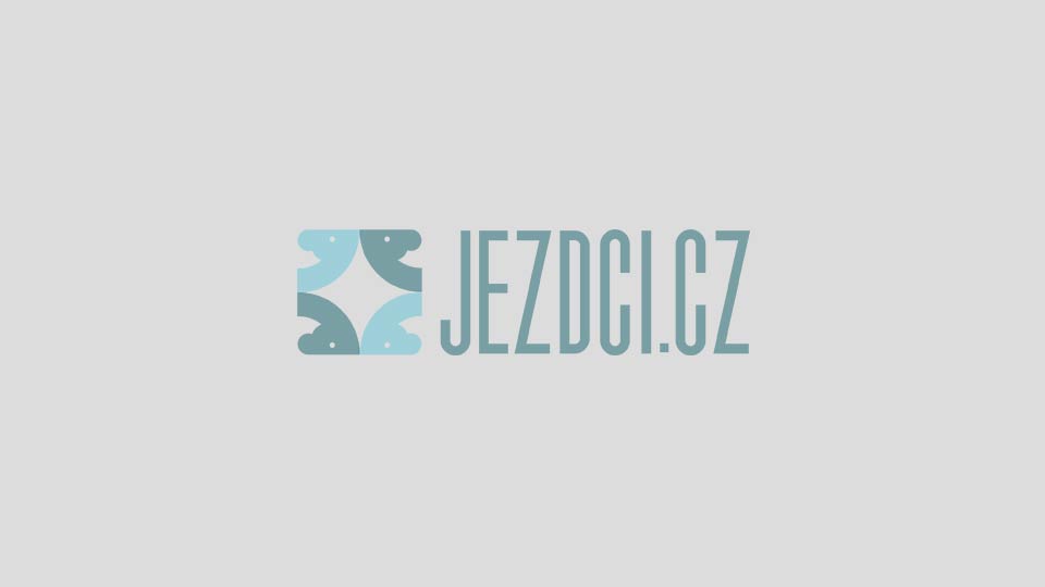 Konference ČJF 2023: Středočeši zvolí vedení oblasti 25. února v Praze
