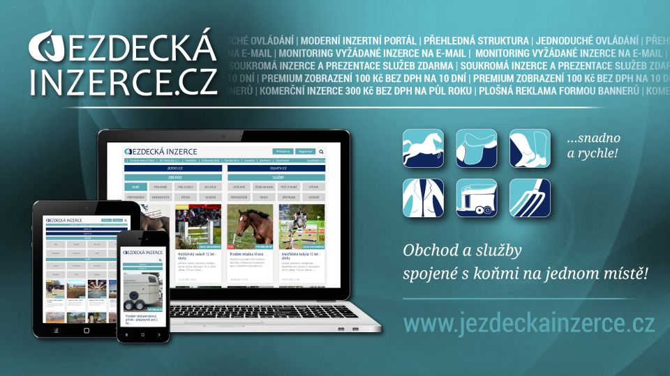 Jezdecká inzerce TOP10: To byly inzertní hity 8. týdne 2022
